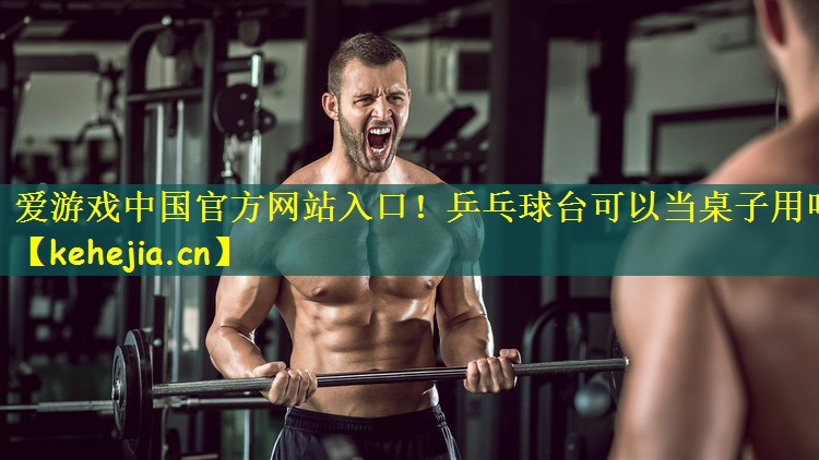 爱游戏中国官方网站入口!乒乓球台可以当桌子用吗