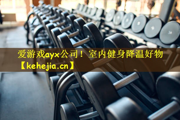 爱游戏ayx公司！室内健身降温好物