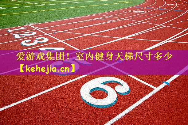 爱游戏集团!室内健身天梯尺寸多少