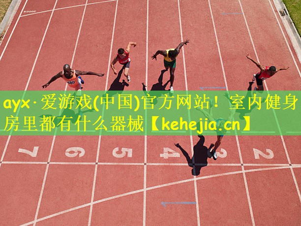 ayx·爱游戏(中国)官方网站!室内健身房里都有什么器械