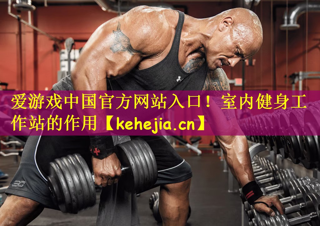 爱游戏中国官方网站入口!室内健身工作站的作用
