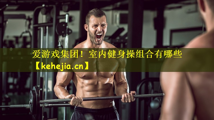 爱游戏集团!室内健身操组合有哪些