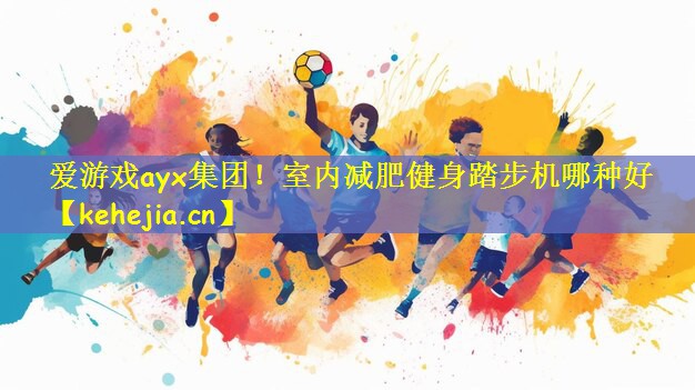 爱游戏ayx集团!室内减肥健身踏步机哪种好