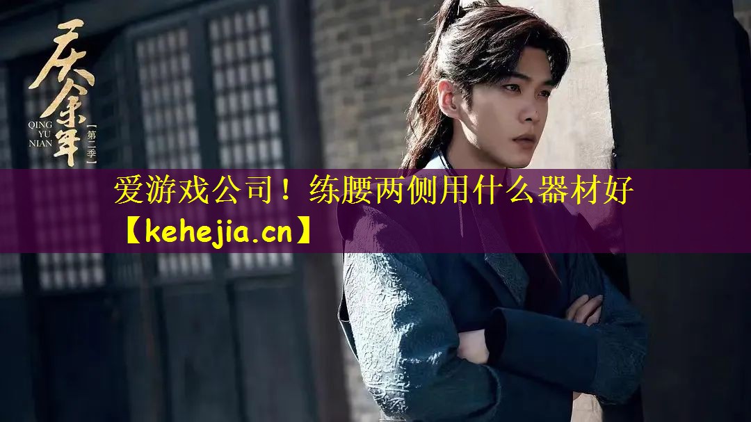 爱游戏公司!练腰两侧用什么器材好