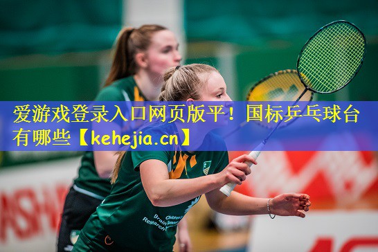 爱游戏登录入口网页版平!国标乒乓球台有哪些