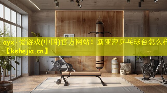 ayx·爱游戏(中国)官方网站!新亚萍乒乓球台怎么样