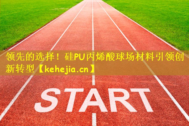 领先的选择！硅PU丙烯酸球场材料引领创新转型