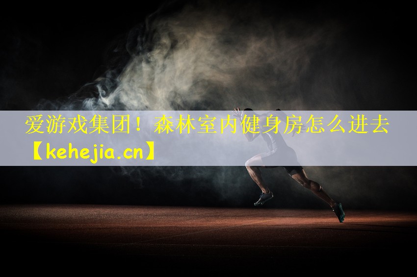 爱游戏集团!森林室内健身房怎么进去