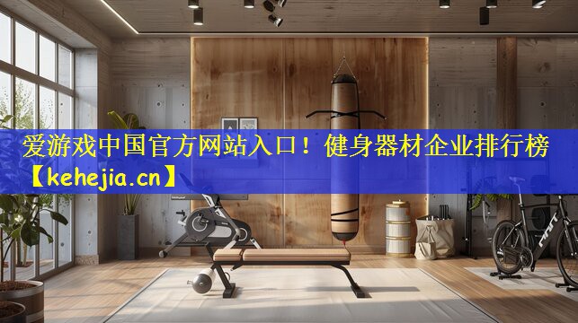爱游戏中国官方网站入口!健身器材企业排行榜
