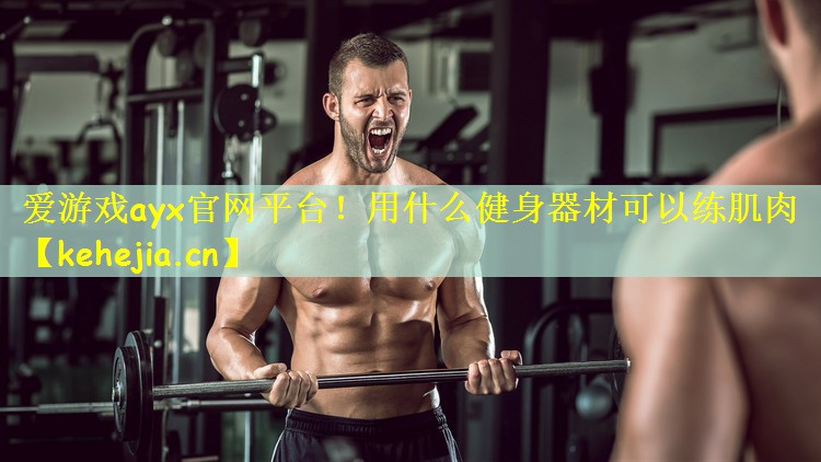 爱游戏ayx官网平台!用什么健身器材可以练肌肉