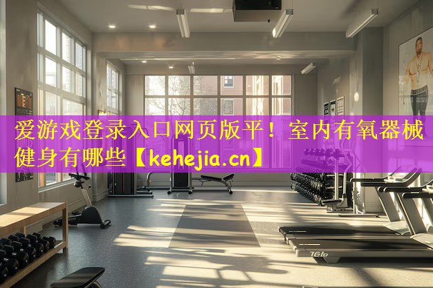 爱游戏登录入口网页版平!室内有氧器械健身有哪些