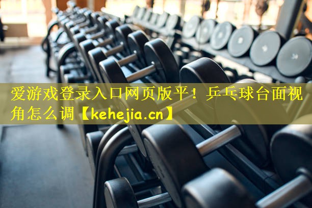 爱游戏登录入口网页版平!乒乓球台面视角怎么调