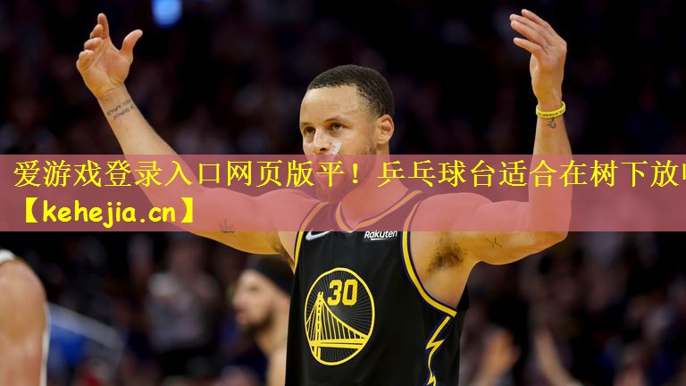 爱游戏登录入口网页版平!乒乓球台适合在树下放吗