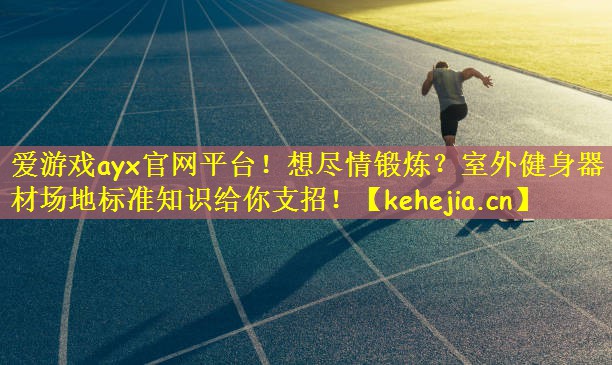 爱游戏ayx官网平台!想尽情锻炼?室外健身器材场地标准知识给你支招!