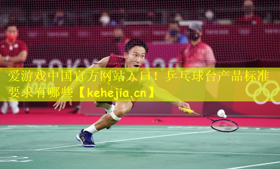爱游戏中国官方网站入口！乒乓球台产品标准要求有哪些