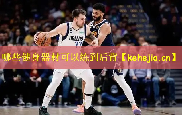 哪些健身器材可以练到后背
