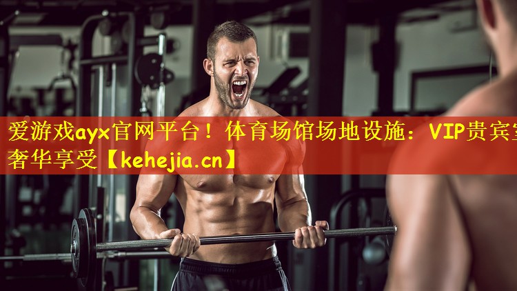 体育场馆场地设施：VIP贵宾室 奢华享受