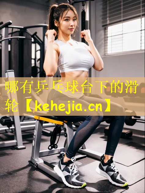 哪有乒乓球台下的滑轮